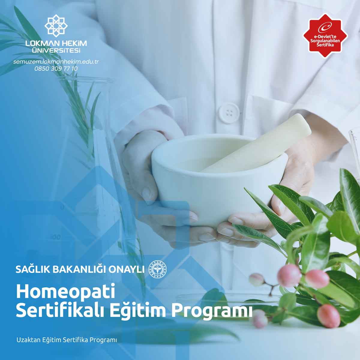 Homeopati Sertifikalı Eğitim Programı
